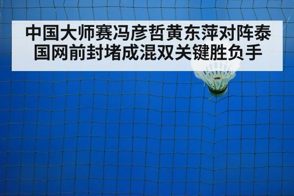 badminton net shot closeup